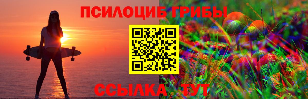 Каменск-Уральский  Галлюциногенные грибы Magic Shrooms  купить  сайты  Вход с VPN  Псилоцибиновые грибы мицелий 